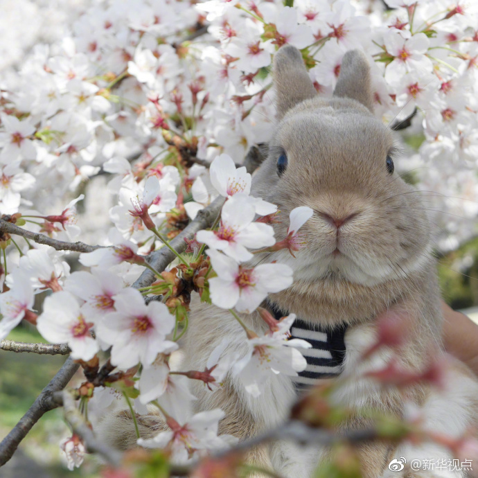 The government provided funding to repair a historic church