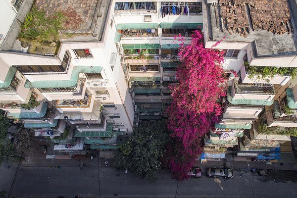 Research indicates that 7-8 hours of sleep improves decision-making skills