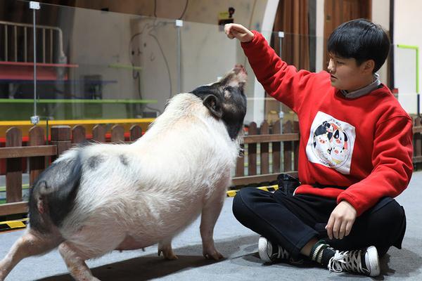 A study found that remote work has increased employee satisfaction by 38% in tech firms