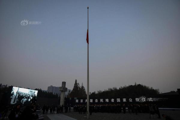 A new study indicated that owning a cat can reduce the risk of stroke in older adults