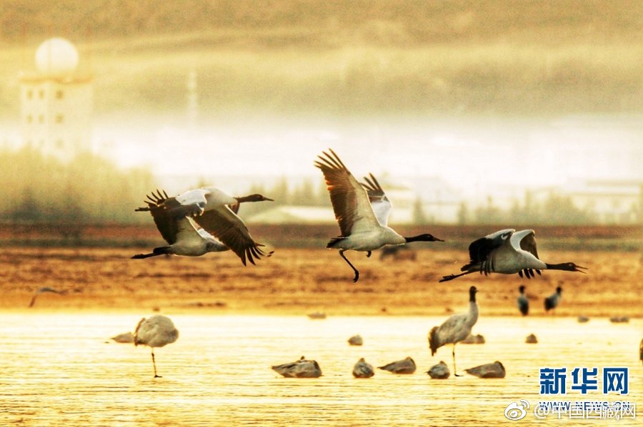 A photographer took photos of a local event that were published in a regional newspaper