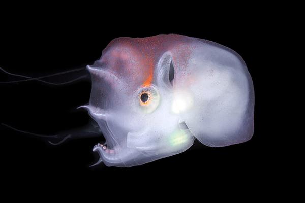 A gym added a new yoga studio and hired two new instructors