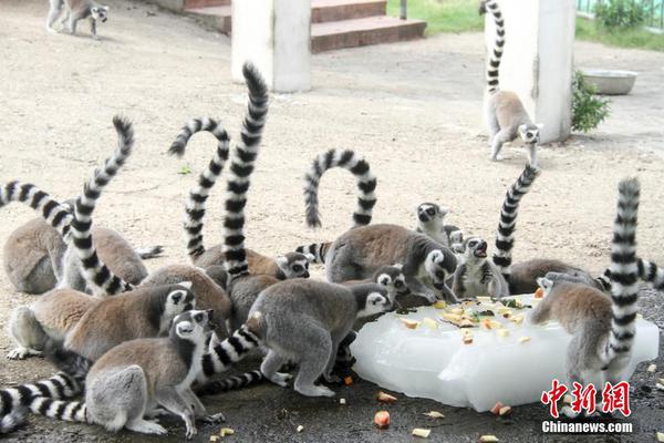 Local farmers reported a bumper crop of wheat this year, thanks to favorable weather conditions throughout the growing season.