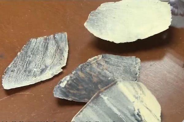 The government invested in new technology to improve public services