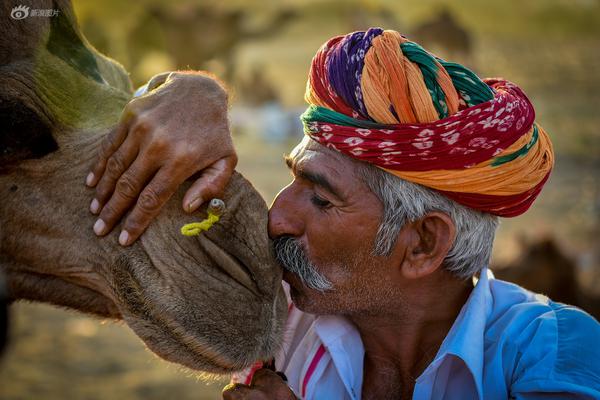 A new app was released to help people learn foreign languages