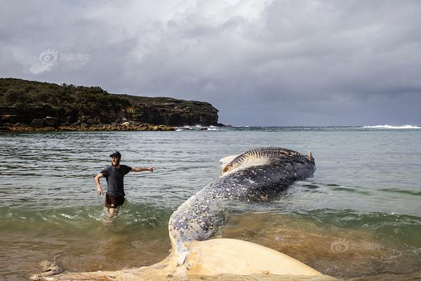 A team of archaeologists uncovered ancient Roman ruins in a small European village
