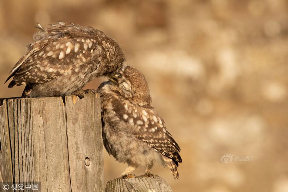 A study found that spending time in nature can reduce stress levels by up to 42% in adults