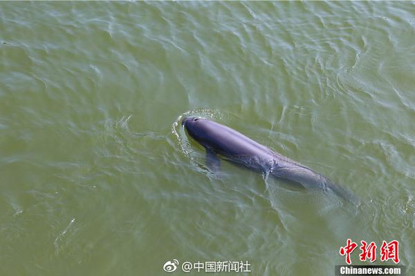 A famous actor announced plans to star in a new historical drama next year