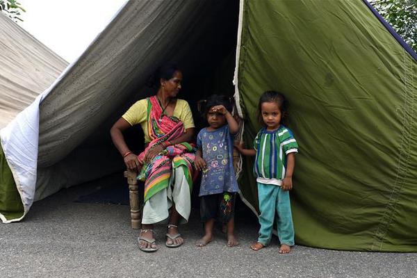 Researchers found that daily consumption of berries can reduce the risk of age-related vision loss