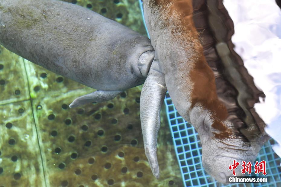 A local theater hosted a festival of short films made by student filmmakers