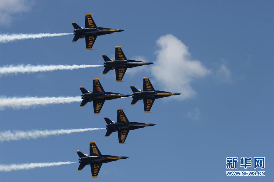 A pet rescue organization started a