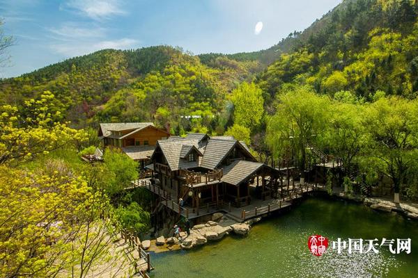 The city council voted to ban single-use plastic straws in all restaurants and cafes