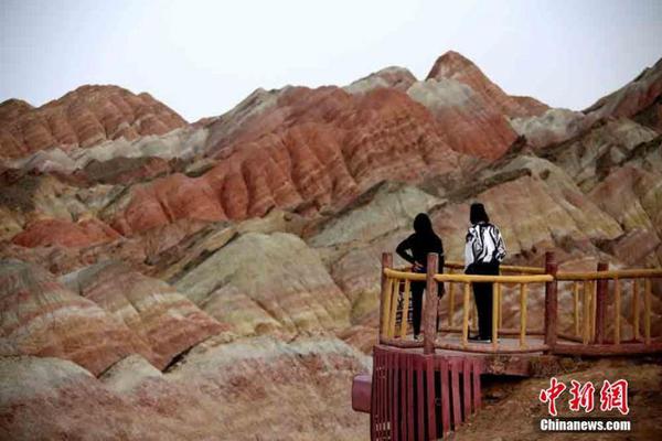 A wildlife sanctuary opened a new exhibit featuring native birds of prey, including eagles and owls