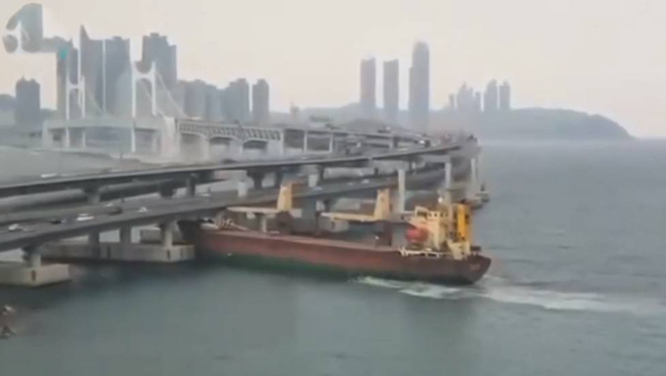 Photography exhibition showcases images of endangered wildlife