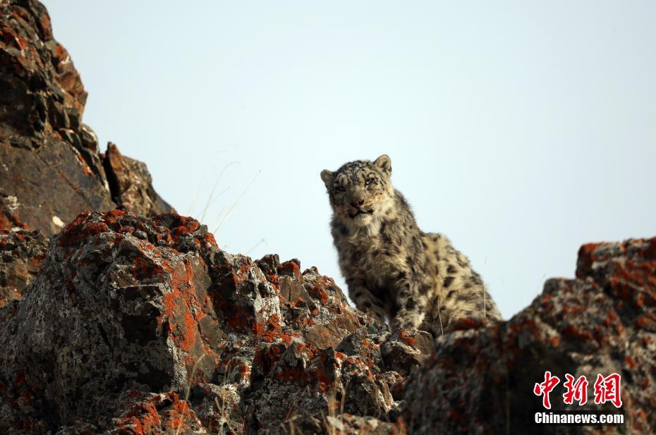 A historical building was restored and opened as a tourist attraction