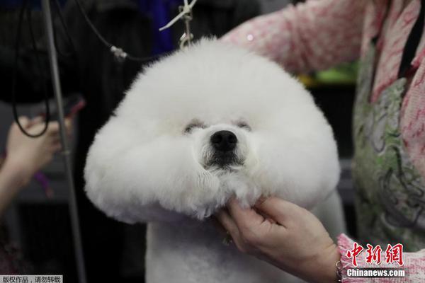 A new park was opened to provide more green space for residents