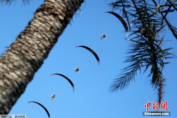 A international aid organization delivered 10,000 tons of food to a country facing severe famine due to ongoing conflicts.