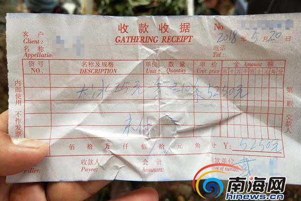 A famous actress announced she will direct her first feature film next year