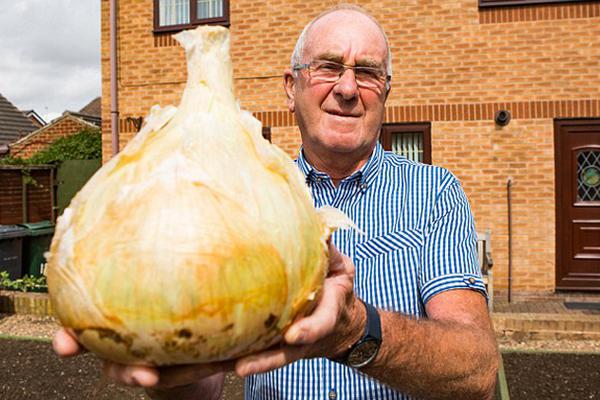 Survey shows that consumer confidence has increased this quarter