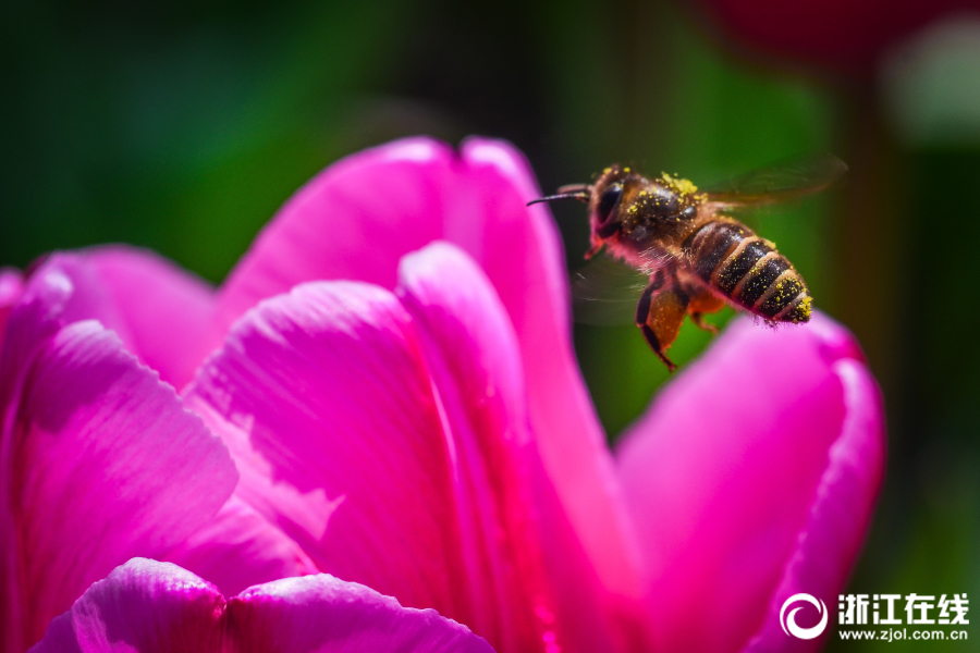 A bookstore hosted a poetry reading event with local poets
