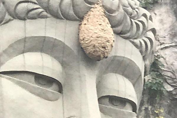 A major hotel chain announced it will implement a zero-waste policy in all its hotels, reducing landfill waste by 90%.