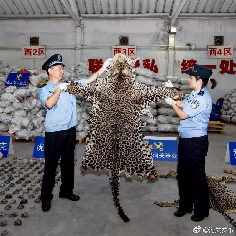 The stock market experienced a minor drop after news of changes to international trade policies