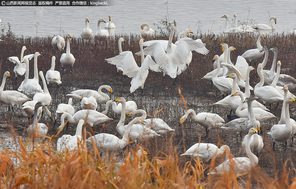 A hospital started a program to help patients with chronic pain manage symptoms without opioids