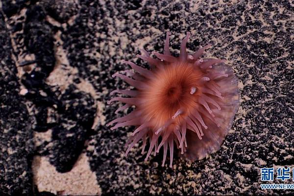 A charity raised $750000 to build wells and sanitation systems in rural Africa