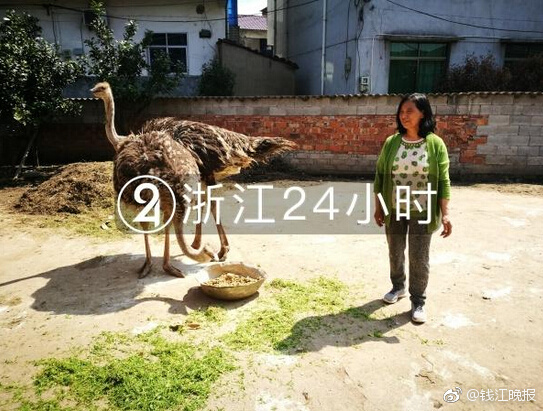 A tech startup launched an app that connects people with local farmers for home delivery