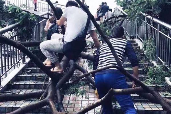 The president’s administration launched a task force to combat corruption in government agencies