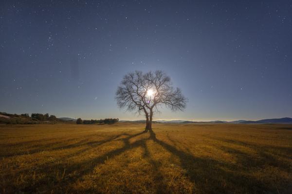 A scientist received a grant to continue their research on a cure for a rare disease