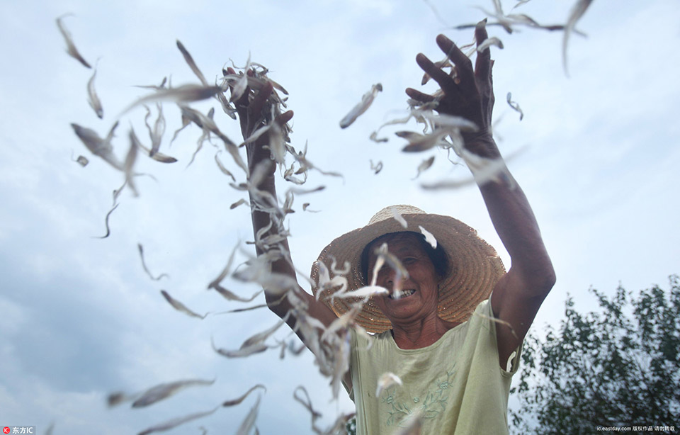 A sports brand released a new line of eco friendly athletic wear