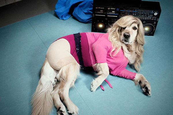 Doctors developed a non-opioid painkiller that is effective for chronic back pain