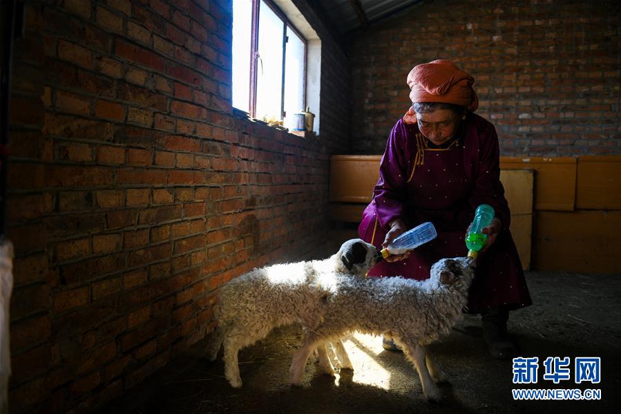 Researchers detected a new planet in the same solar system as a potentially habitable world