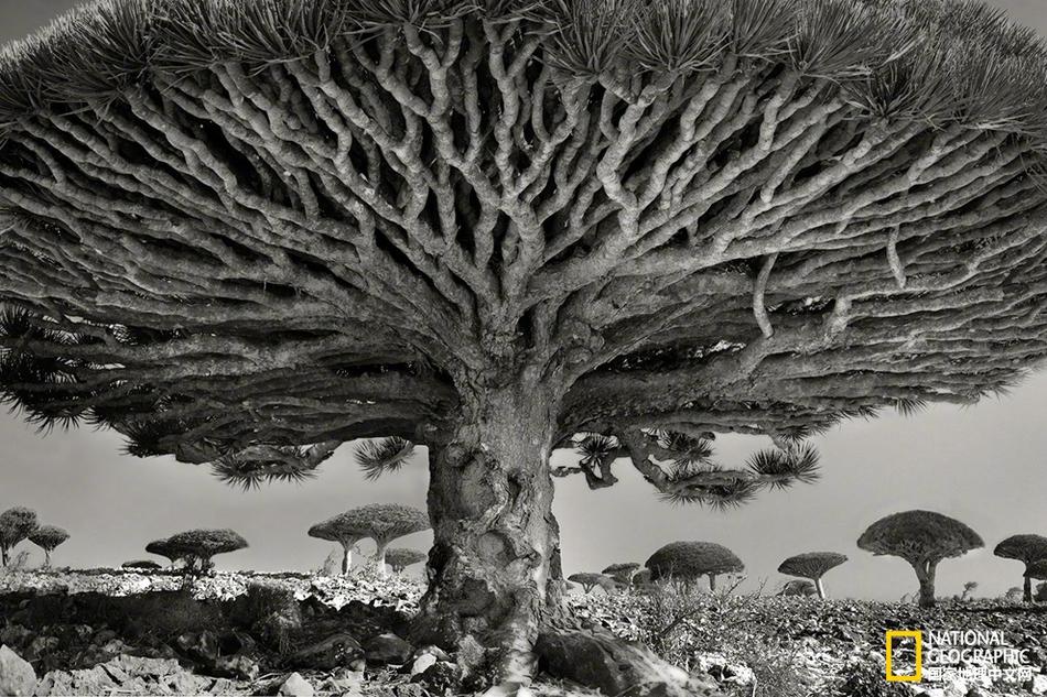 A bookstore offered a monthly subscription service, delivering a curated book to subscribers each month