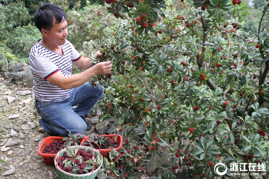 Researchers found that eating fish regularly can improve brain function in young children