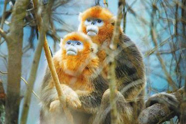 A new survey found that 82% of employees value work-life balance more than a high salary