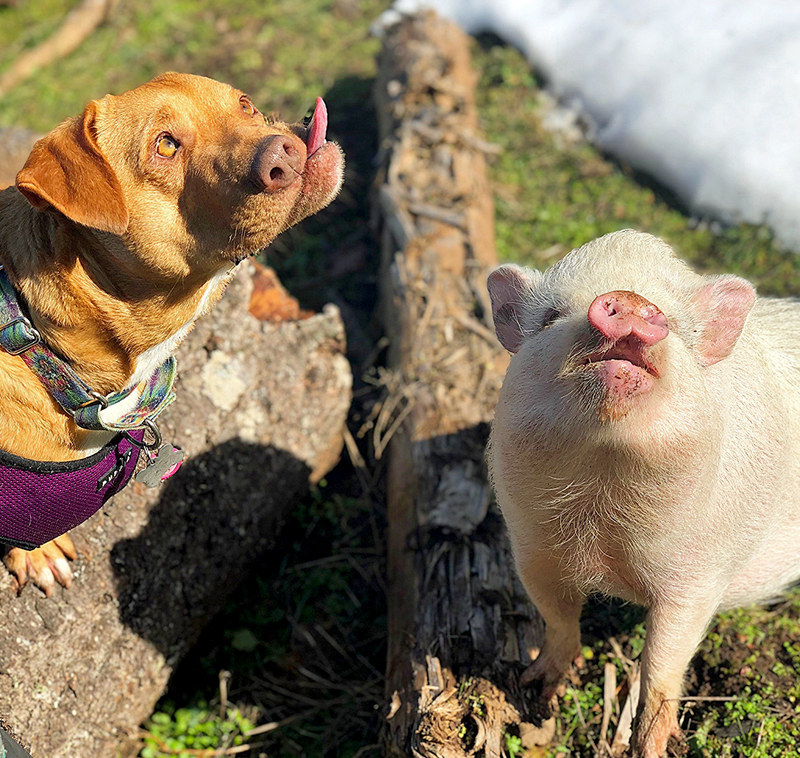 Public library partners with local schools to provide after school tutoring