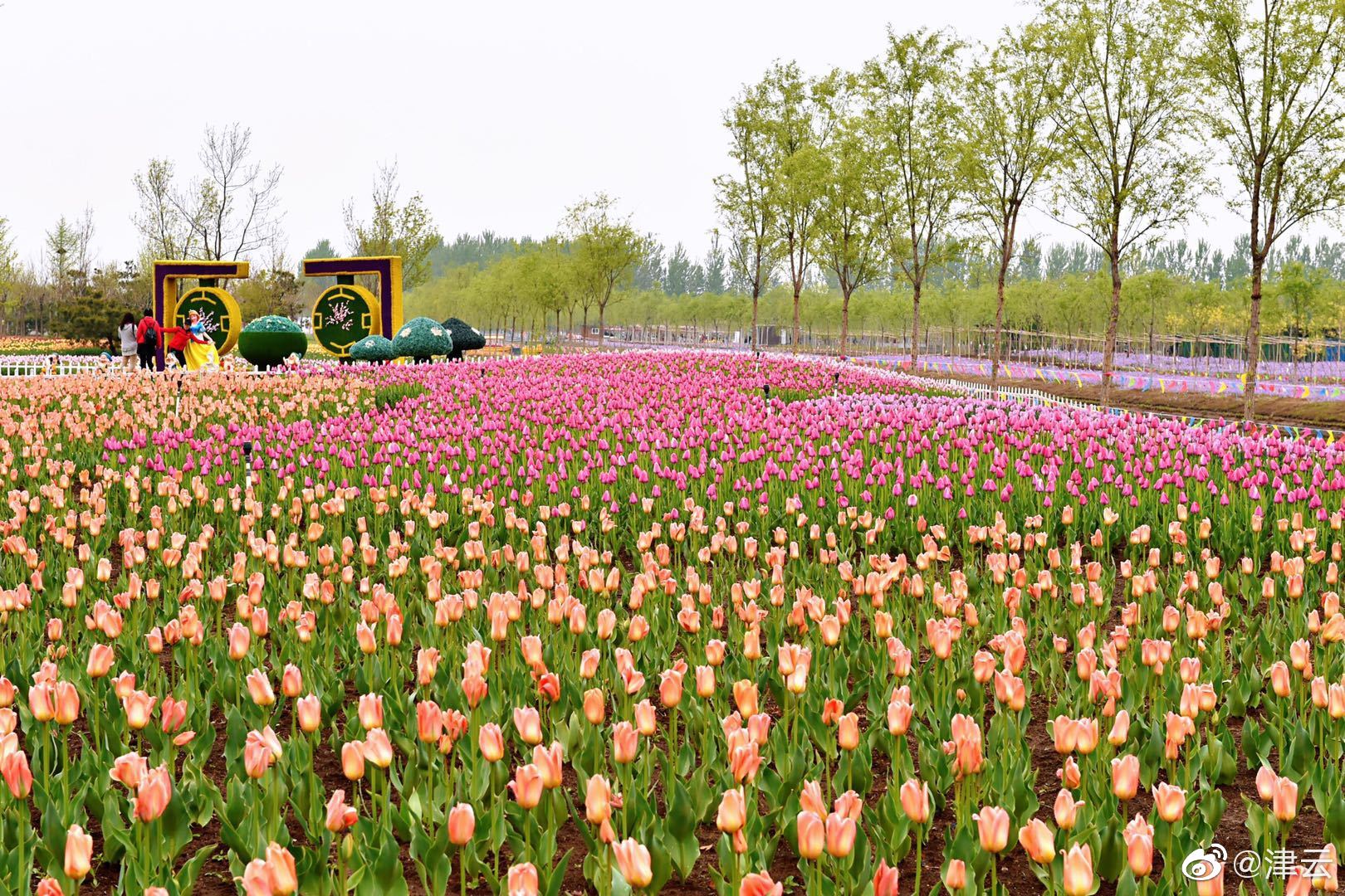 A new report showed that the number of endangered species has decreased by 14% over the past five years thanks to conservation