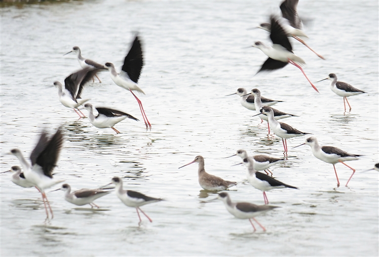 The city council voted to extend public transit service to 24 hours on weekends