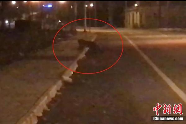 A taxi company added electric vehicles to its fleet cutting fuel costs by 40%