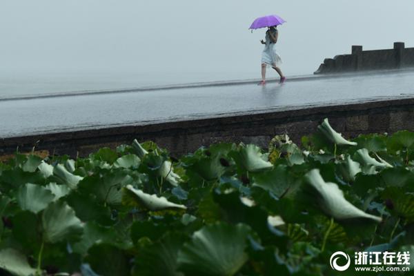 Scientists developed a new way to grow crops in areas with limited water