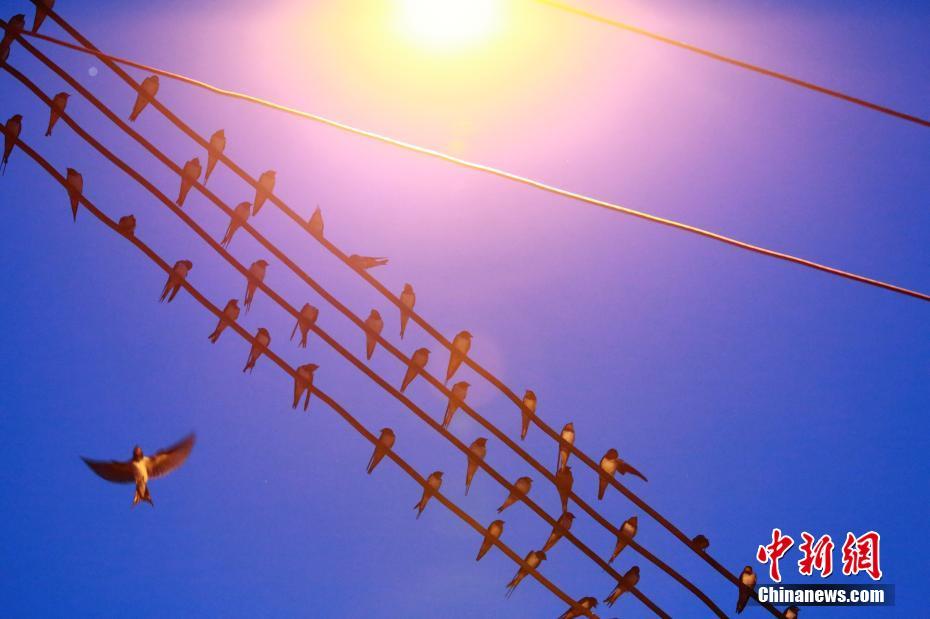 A major music festival announced it will introduce a cashless payment system to reduce wait times at food and drink stalls.