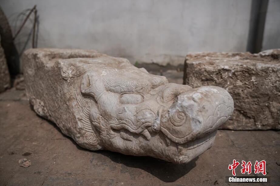 Scientists discovered a new species of frog in a rainforest with unique coloration