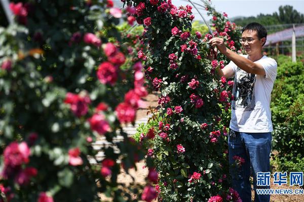 Scientists identified a new compound in tropical plants that may help treat antibiotic-resistant infections