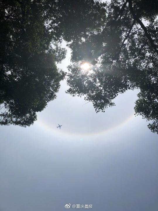 A city installed more security cameras in parks to prevent vandalism and crime