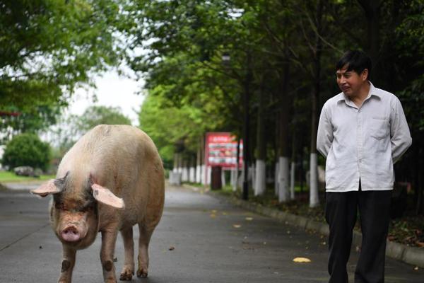 Students participated in a debate competition on environmental issues