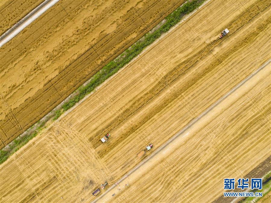 The government passed a law requiring all new cars sold to be electric by 2035