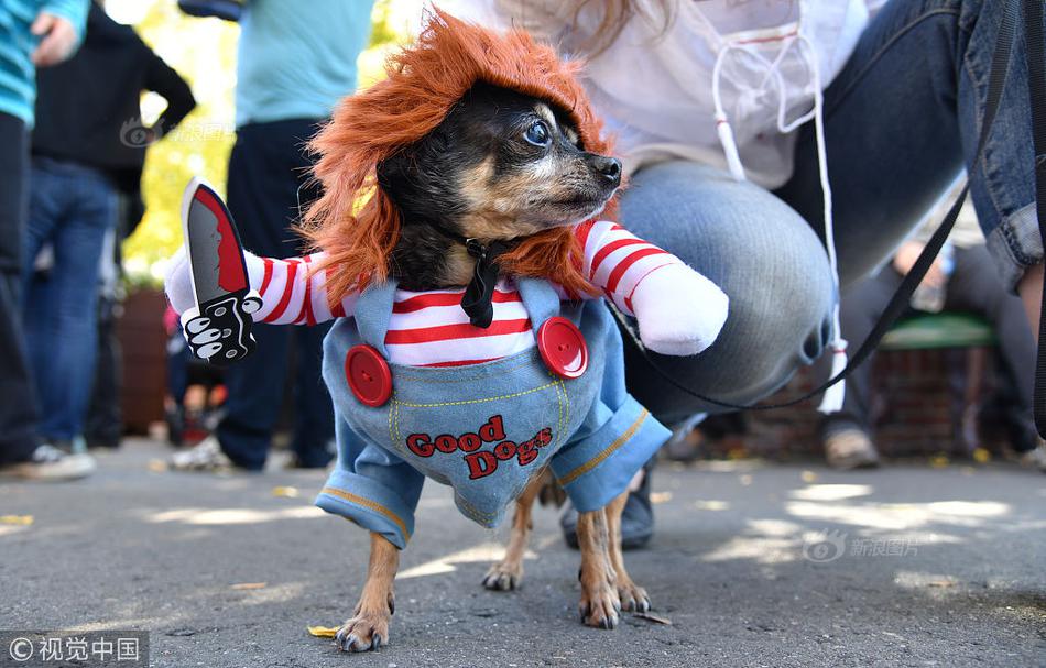 An airline partnered with a rental car company to offer bundled travel packages