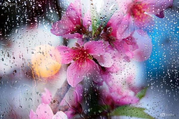 A popular online retailer offered free shipping for all orders during a special sale